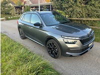 Bild 3: Skoda Kamiq 1.5 TSI Monte Carlo DSG