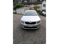 Bild 2: Skoda Octavia Combi 1.6 TDI 105 Elegance DSG