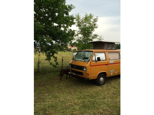VW Type 2 (T3) 1.6 TD Camper