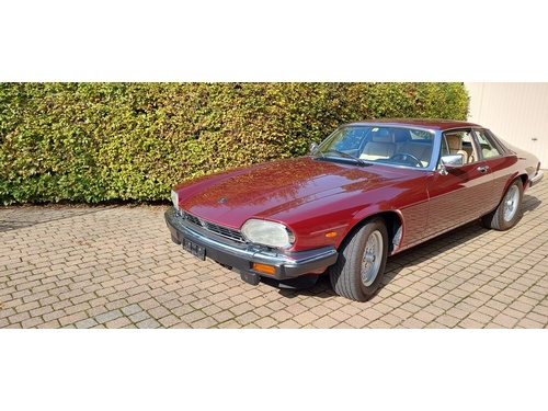 Jaguar XJS 5.3