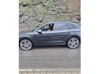 Bild 2: Audi SQ5 3.0 V6 TFSI quattro T-Tronic