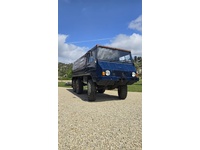 Bild 3: PUCH Steyr-Puch Pinzgauer 712 M