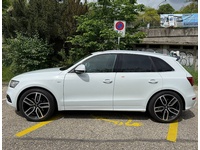 Bild 3: Audi SQ5 3.0 V6 Bi-TDI quattro T-Tronic