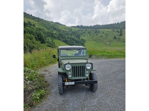 WILLYS OVERLAND CJ-3B
