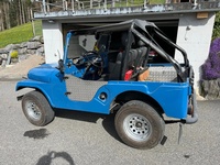 Bild 4: Jeep CJ-5 Willys Universal