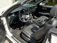 Bild 7: Ford Mustang Convertible 5.0 V8 GT