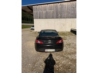 Bild 6: Hyundai Genesis Coupé 2.0 T