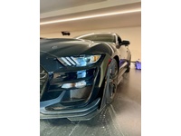 Bild 2: Ford Mustang Shelby GT 500