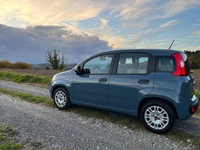 Bild 3: Fiat Panda 1.0 Hybrid Cool Bild 3: Fiat Panda 1.0 Hybrid Cool
