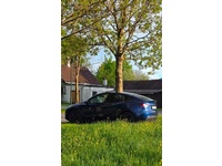 Bild 3: Tesla Model Y Basis