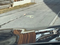 Bild 7: BMW 5er Reihe G31 Touring M550d xDrive SAG