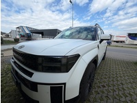 Bild 2: Hyundai Santa Fe 1.6 T-GDi PHEV Calligraphy