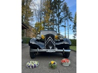 Bild 2: Citro&euml;n 11 BL LEGERE