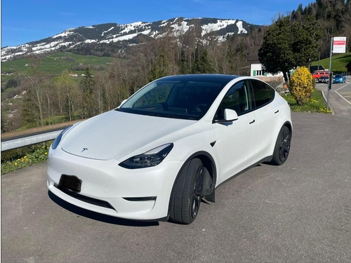 Tesla Model Y Performance D