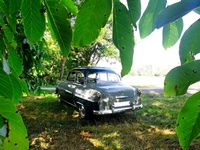 Bild 3: Opel Olympia Rekord